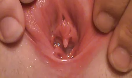 Ele trouxe uma garota ruiva para visitar e fodido. cicciolina sexo anal