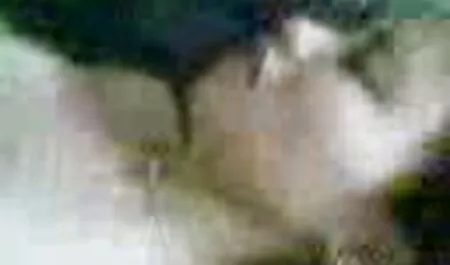 Puta Lynn Carter. xvideos anal brasileiros