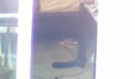 Lésbicas no videos de sexo anal com casadas vestiário.