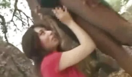 Escritório perdolit minx. esexo anal