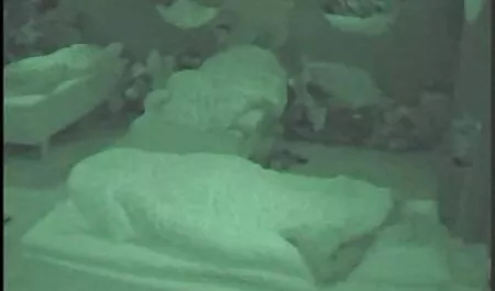 O professor ordenou aos negras africanas sexo anal alunos para foder.